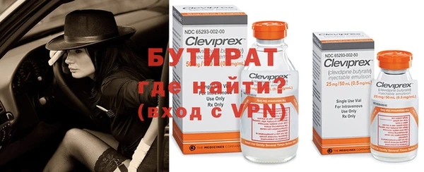 дживик Нея