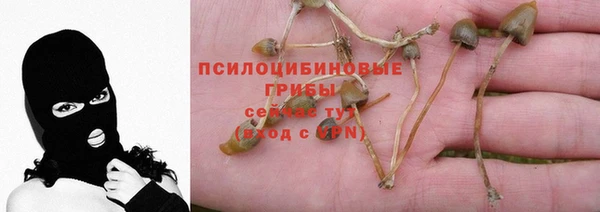 каннабис Нефтекумск
