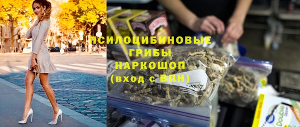 дживик Нея