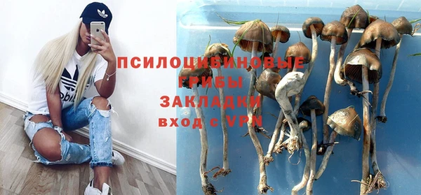 дживик Нея