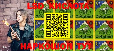 прущие грибы Кингисепп