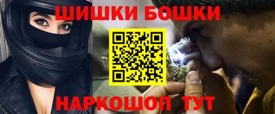 прущие грибы Кингисепп