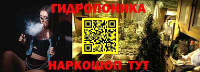 прущие грибы Кингисепп