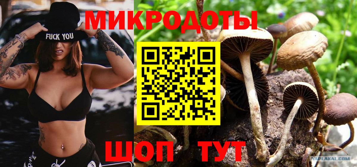 Псилоцибиновые грибы Cubensis Тара