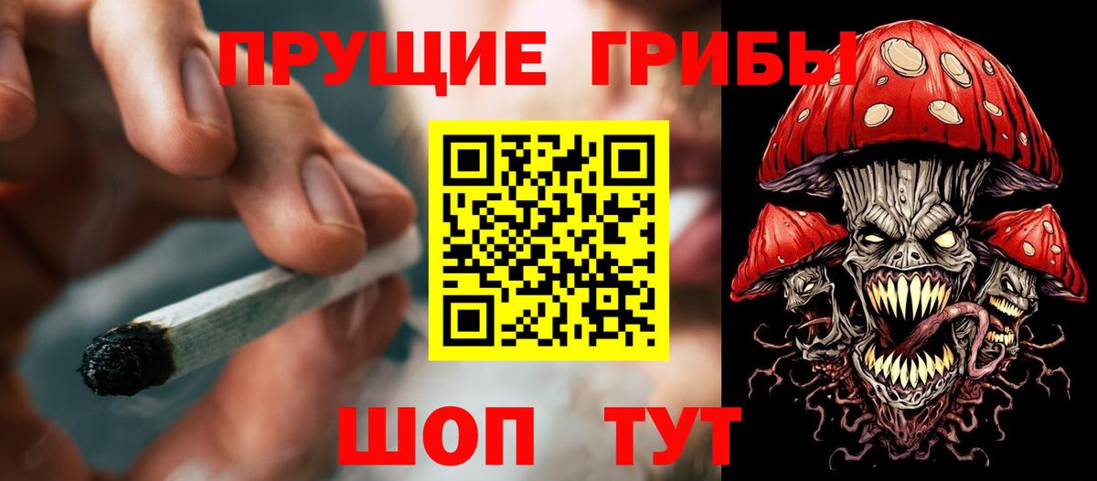 Тара  купить  цена  Вход с VPN  Псилоцибиновые грибы Cubensis 