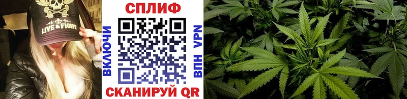 МАРИХУАНА план  blacksprut   Тара 